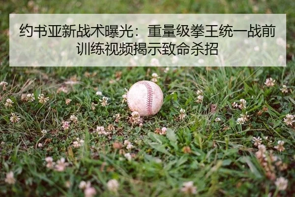 yue-shu-ya-xin-zhan-shu-bao-guang-zhong-liang-ji-quan-wang-tong-yi-zhan-qian-xun-lian-shi-pin-jie-shi-zhi-ming-sha-zhao-2-109.jpg